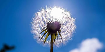 微信朋友圈点赞生成器网站现在做自媒体是不是晚了