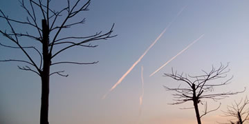 微信公众平台点赞你知道的合法暴利行业有哪些