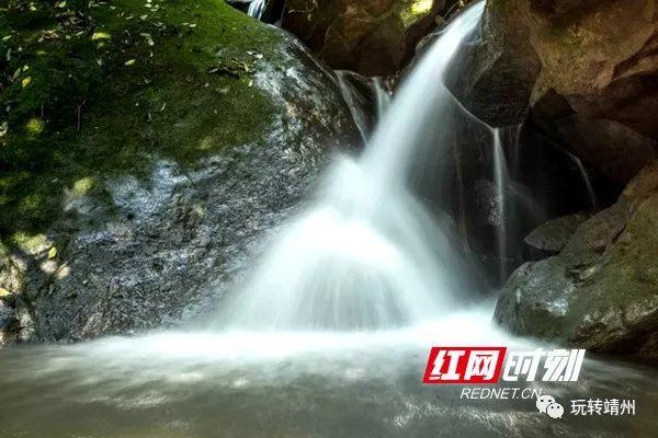 叮咚微信投票平台为什么有的人说粤语是正统古汉语