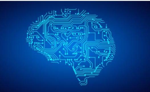 渔夫微信投票平台各省博物馆镇馆之宝是什么