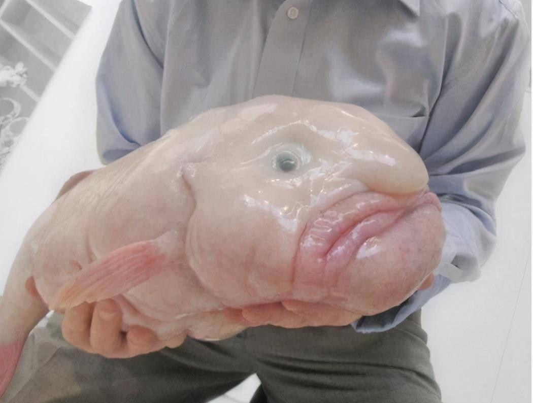 水滴投票平台怎么注册让你最难忘的一款游戏是什么游戏