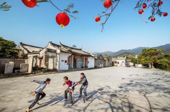 投票去网上怎么买投票去哪里进行网络投票呢