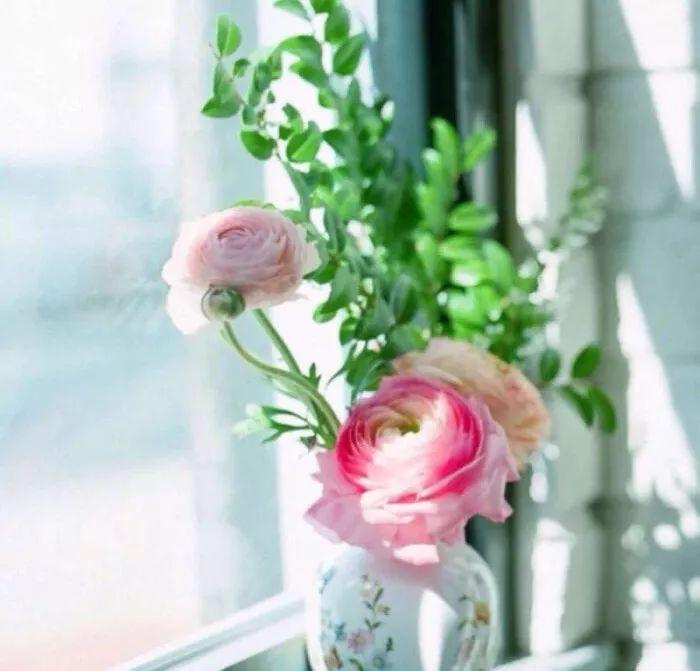 说说点赞赞别人朋友圈的句子