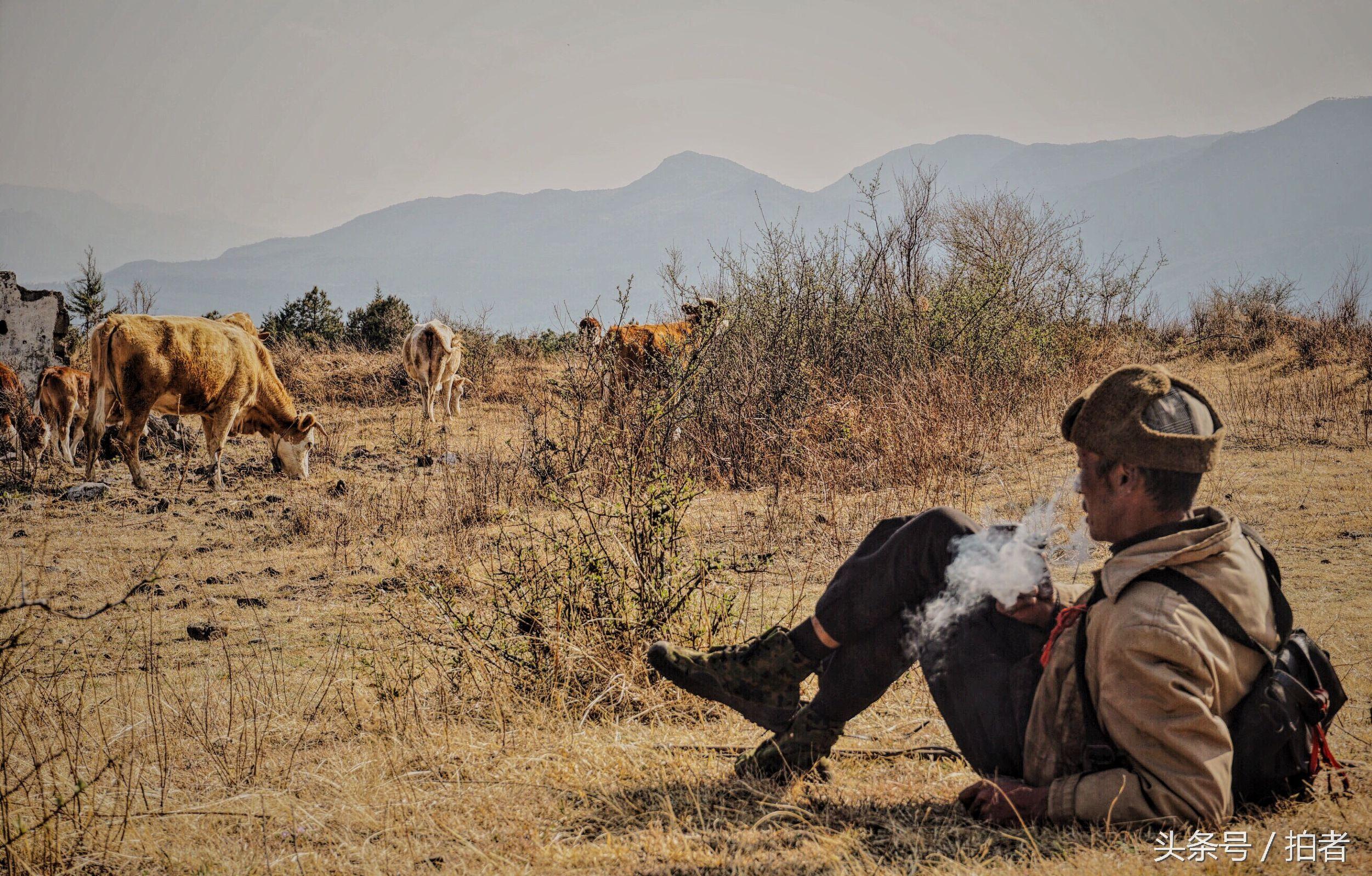 确实有微信投票10元1000微信投票三个人同时涨一千票