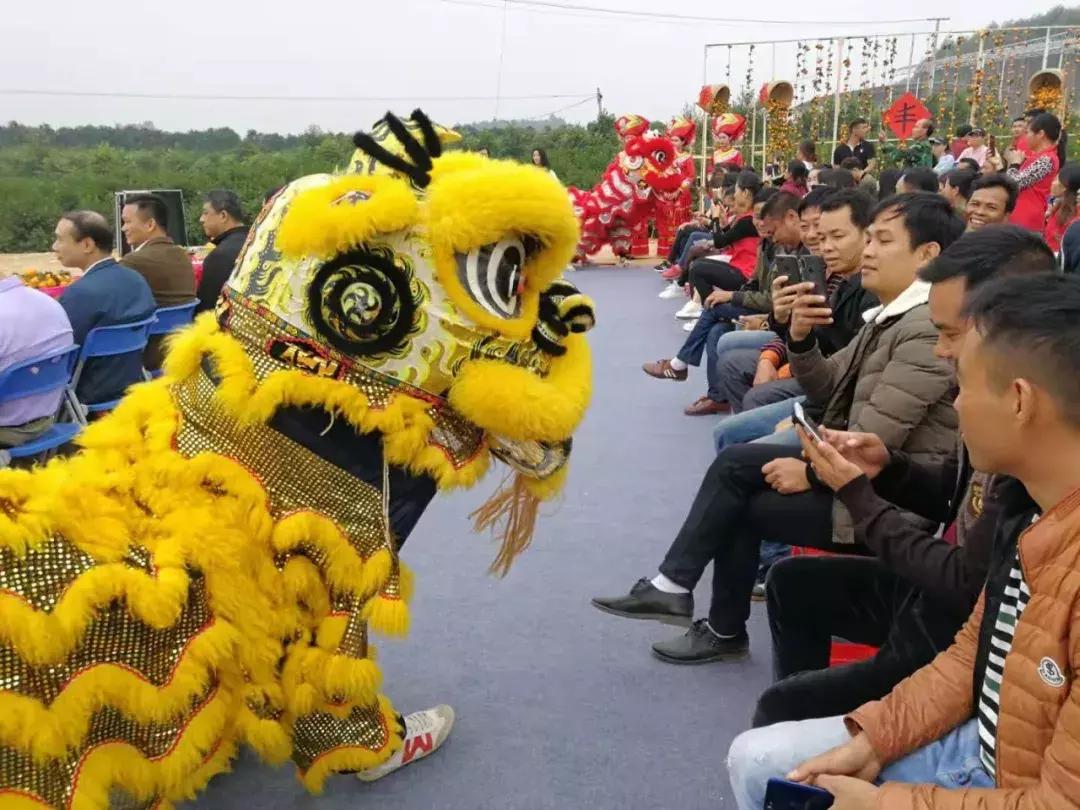 免费名片赞1000领取网站qq名片的赞怎么都没了而且好友的也都显示的是零求解