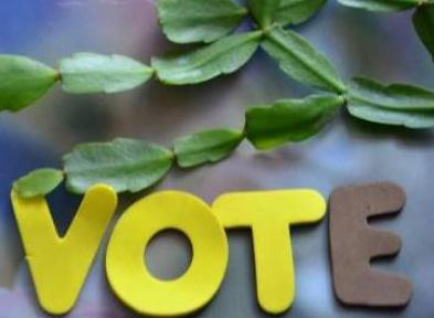 投票群微信互投群微信群里怎么发布投票