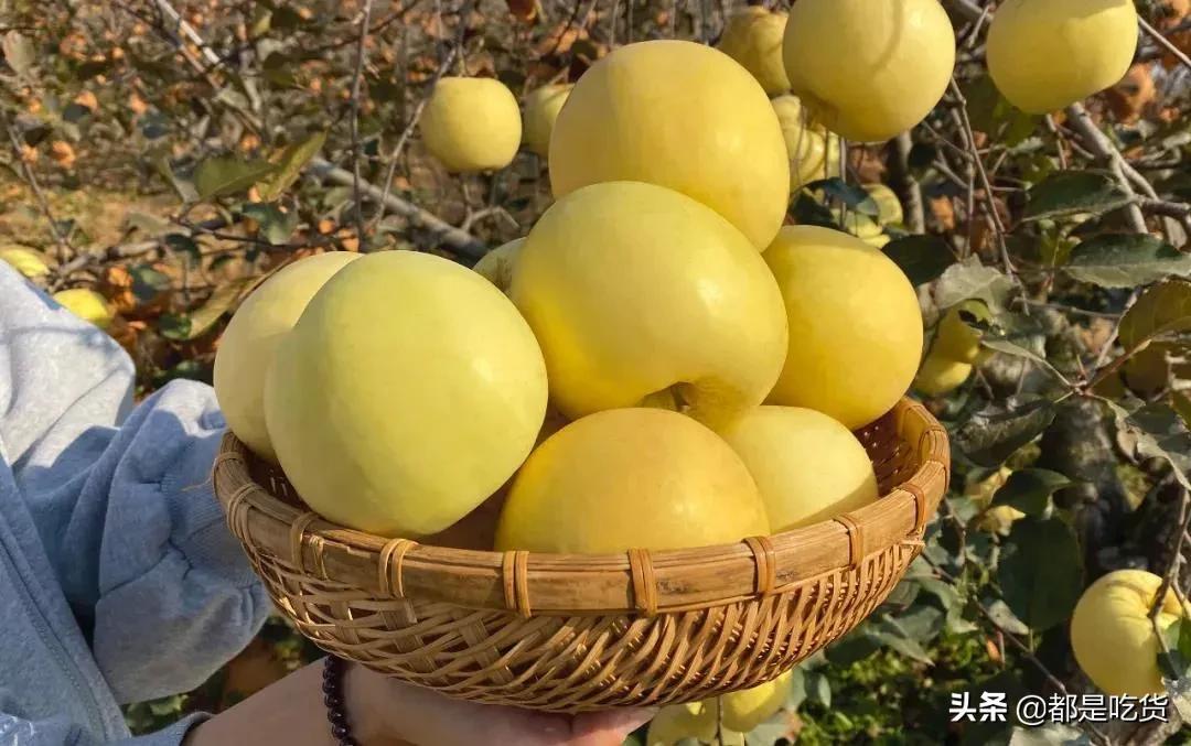 苹果微信朋友圈自动点赞软件用iPhone听音乐