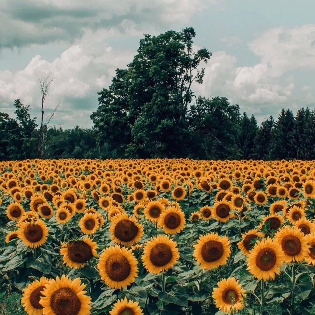 微信如何清除别人的点赞微信删除对方后对方为什么还能点赞自己