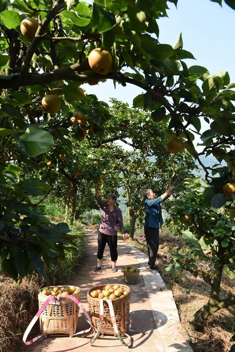 微信朋友圈免费点赞老师傅们有事也不教我