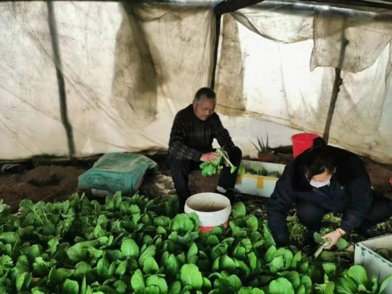 免费点赞微信直播点赞收费标准