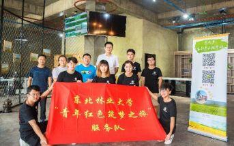 专业投票团队到哪里找有哪些高效稳定且专业的微信投票系统推荐