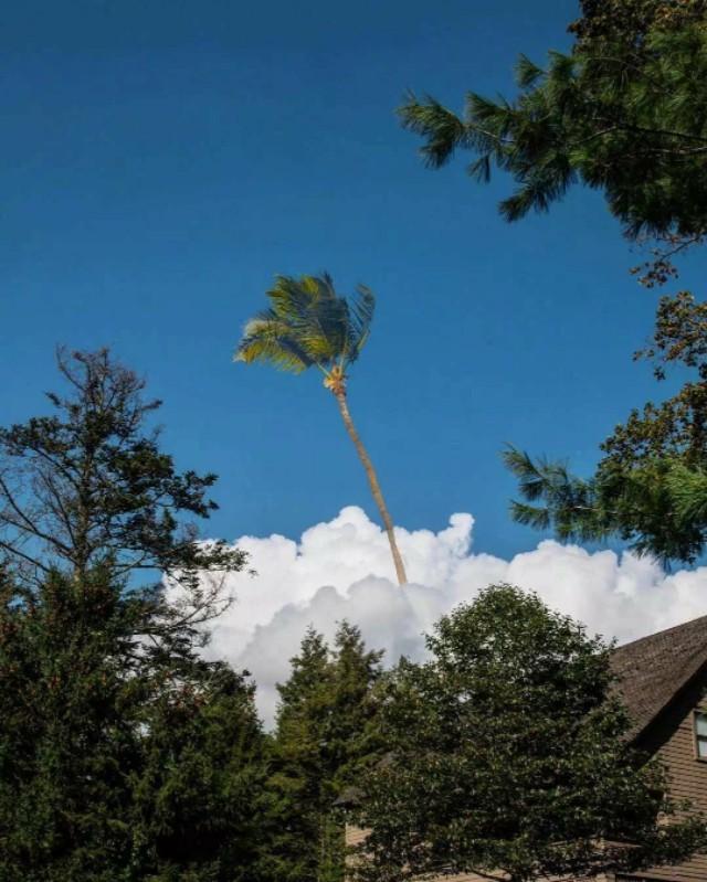 免费微信点赞神器有没有最好用的翻译软件翻译神器